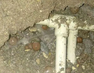沧县卫生间测漏
