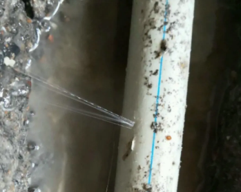 沧县卫生间测漏水多少钱