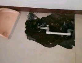 沧县卫生间测漏水多少钱